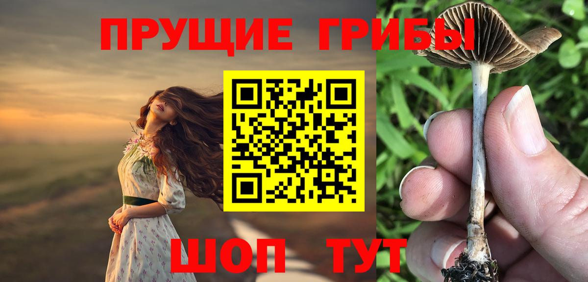 Псилоцибиновые грибы прущие грибы Майский