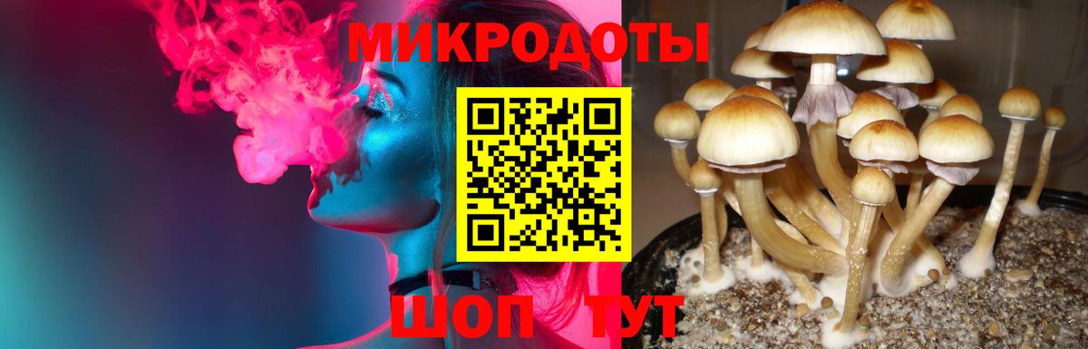 Псилоцибиновые грибы прущие грибы  Вход с VPN  Майский 